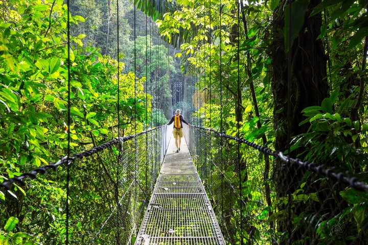Hängebrücke in Costa Rica Reisender auf einer Hängebrücke in Costa Rica